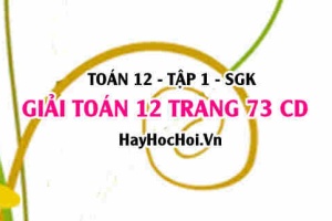 Giải Toán 12 trang 73 tập 1 Cánh Diều